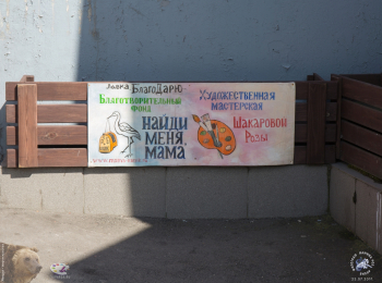 Рекламные предложения. Фотограф Марина Роз.