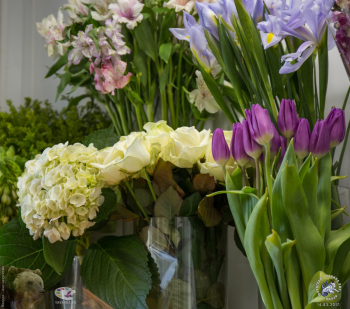 Цветы и подарки - магазин на Щипках. Гортензия, тюльпаны, розы. Фото 14.03.2017.
