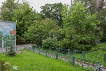 Михайловский парк в Москве. Зелень парка