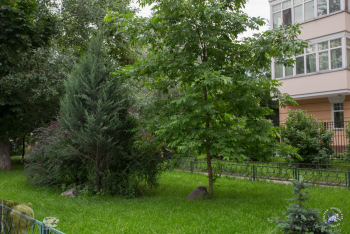 Михайловский парк в Москве. Деревца и ландшафтные камушки