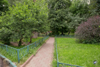 Михайловский парк в Москве. Парковая дорожка