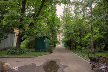 Михайловский парк в Москве. Аллея парка