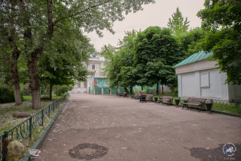 Михайловский парк в Москве. Сыпется тополиный пух на асфальт