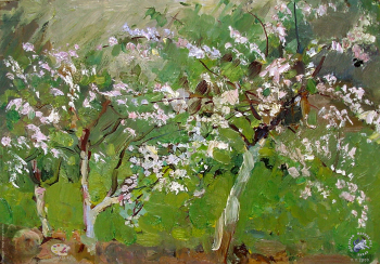 Королёва Розалия Ивановна. Цветущий сад. Этюд. Холст, масло. 1950-е. Частное собрание.