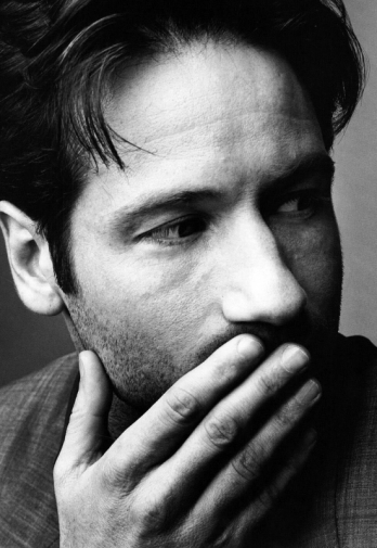 Марк Селиджер. Дэвид Духовны (David Duchovny), актёр