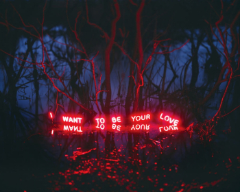 Юнг Ли. I Want To Be Your Love. Инсталляция. 2012. Частное собрание.