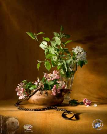 Марина Роз. Расцветали яблони и груши. Фото 2008.
