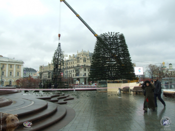 Установка новогодней ёлки перед Большим театром. Не рано ли? Фото 05.12.2005.