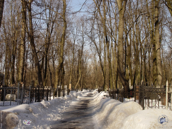 Кладбищенская дорога. Фотограф Марина Роз.