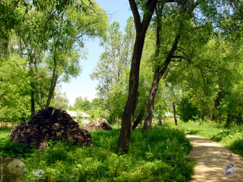 Поленницы дров на территории музея-заповедника. Фотограф Марина Роз.