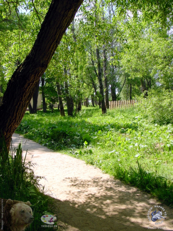 Дорожка в парке. Фотограф Марина Роз.