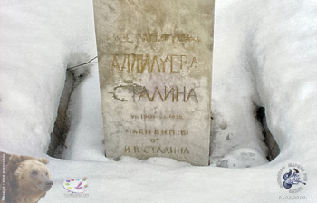 Постамент памятника. Белый мрамор. Фотограф Марина Роз.