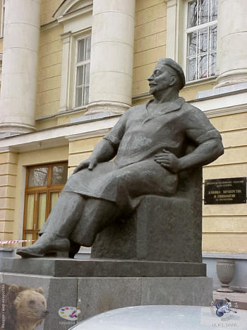 Бронзовый памятник Снегирёву Владимиру Фёдоровичу. Фотограф Марина Роз.