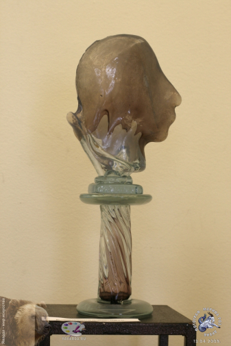 Савельева Любовь Ивановна. 2009.. Стеклянный профиль