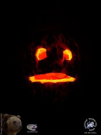 Декоративные тыквы. Опасливая тыква