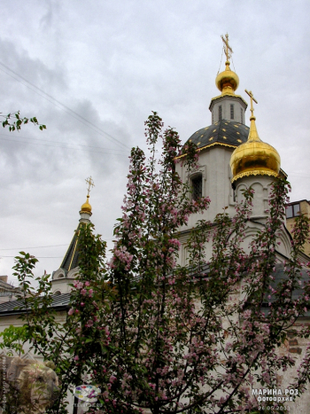 Храм в мае. Фотограф Марина Роз.