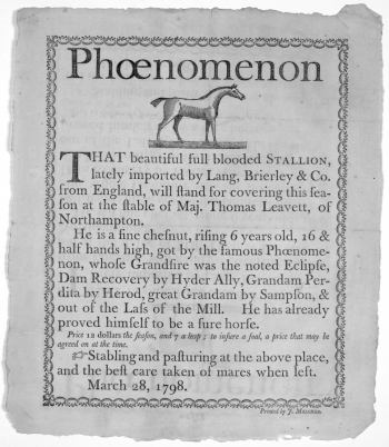 Бумажная реклама 1798 года, предлагающая услуги жеребца в разведении лошадок. Неизвестный фотограф.