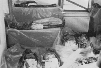 Мумии Венцоне. Мумии после землетрясения 1976 года