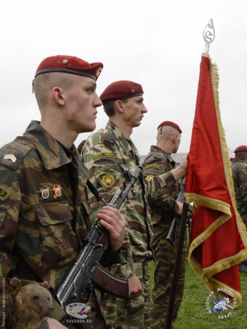 Краповые береты. У боевого знамени