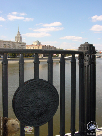 Ограждение портика Бородинского моста. Фотограф Марина Роз.
