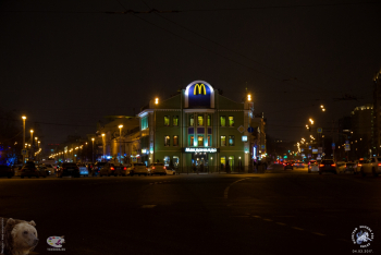 Макдональдс. Вид с Большой Ордынки. Февральский вечер. Фотограф Марина Роз.
