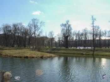 Парковый пруд. Фотограф Марина Роз.