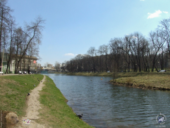Пруд в Екатерининском парке. Фотограф Марина Роз.