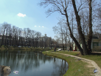Тропинка вдоль пруда. Фотограф Марина Роз.
