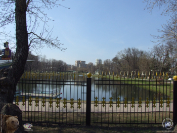Ограда в парке. Фотограф Марина Роз.