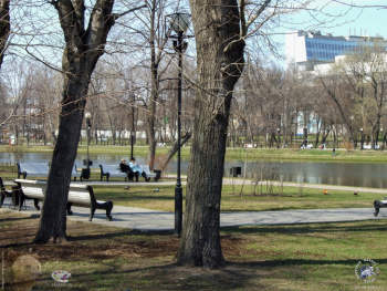 В парке у пруда. Фотограф Марина Роз.