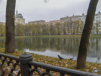 Патриаршие пруды осенью 2003 года. Голуби у пруда. Фото 14.10.2003.