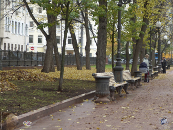 Патриаршие пруды осенью 2003 года. Деревья. Фото 14.10.2003.