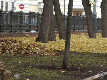 Патриаршие пруды осенью 2003 года. Сгребают осенние листья. Фото 14.10.2003.