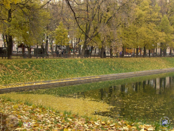 Патриаршие пруды осенью 2003 года. Листья на воде пруда. Фото 14.10.2003.