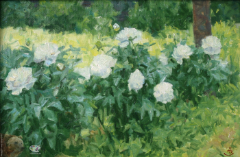 Зудов Николай Иванович. Пионы. Холст, масло. 40х60. 2005. Частное собрание.