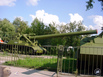 Выстрел из этого орудия не понравится врагам. Фотограф Марина Роз.
