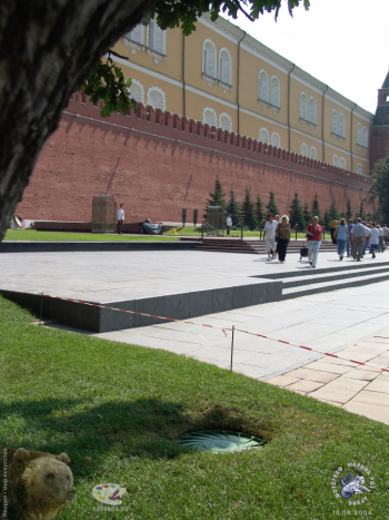 Почётный караул у надгробия и Вечного огня. Фотограф Марина Роз.