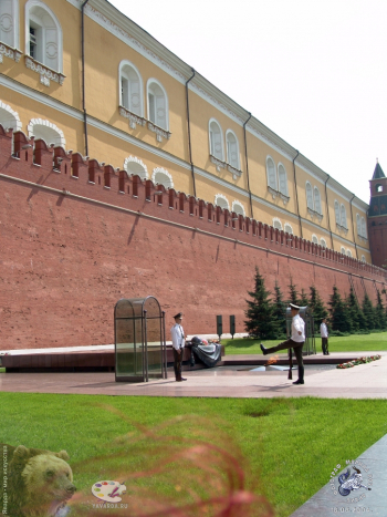 Смена караула на посту №1. Фотограф Марина Роз.