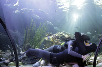 Подводный поцелуй. Итальянская пара целуется на рекорд под водой