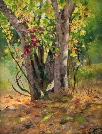 Кандауров Антон Иванович. Осенний лес. Холст на картоне, масло. 36,8х28,8. 1900-е. Частное собрание.