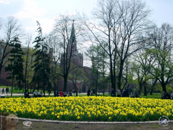 Клумба в Александровском саду. Фотограф Марина Роз.