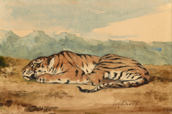 Эжен Делакруа. Королевский тигр. Бумага, карандаш, тушь, акварель, графит. 26,8х17,8. 1800-е. Библиотека и музей Моргана.