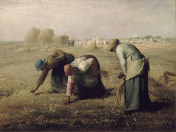 Жан-Франсуа Милле. Сбор. Холст, масло. 52х151. 1857. Музей Орсе.