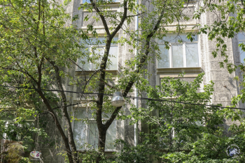 Окна учебного заведения. Фотограф Марина Роз.