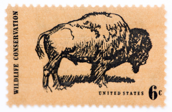 Почтовая марка `Бизон`. США. 1970. 6 центов.