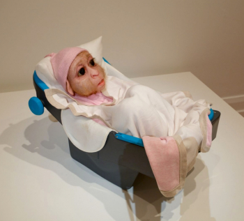 Патриция Пиччинини. Подкидыш. Пластик. 2008. Частное собрание.