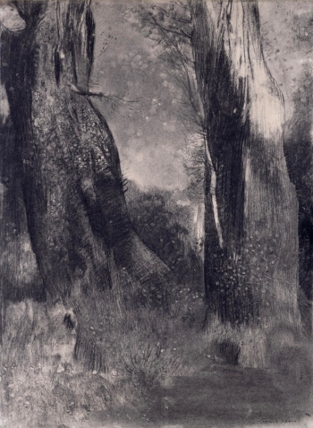 Одилон Редон. Деревья. Бумага, уголь. 50,2х37,5. 1890-е. Музей изящных искусств (Хьюстон).