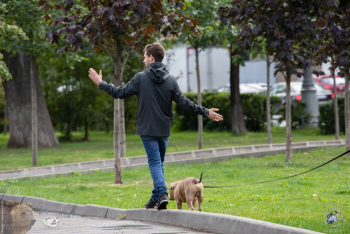 Кинотеатр `Правда` в Москве. Люди с собакой у кинотеатра `Правда`. Фото 03.08.2019.