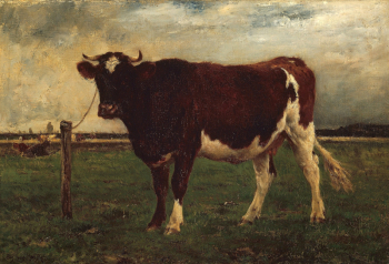 Эмиль ван Марке. Зарисовка коровы. Холст, масло. 56,6х83,5. 1870-1890. Чикагский институт искусств.