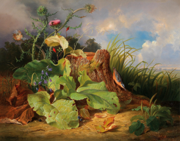 Йозеф (Джозеф) Шустер (1812-1890). Натюрморт с чертополохом. Холст, масло. 75,5х96. 19 век. Частное собрание.